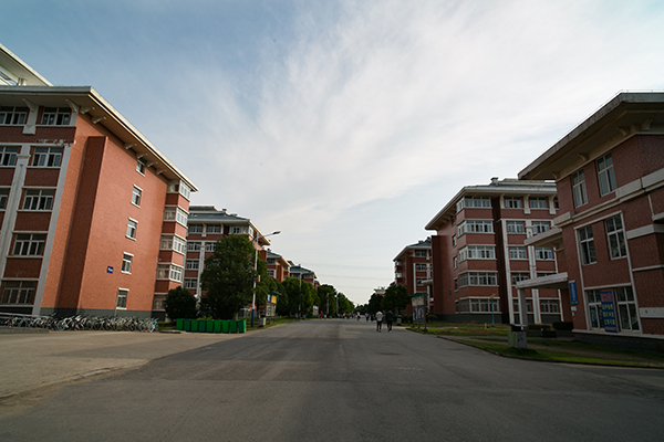 (學生宿舍)(夏荷)(校園雪景)(秋天的校園)