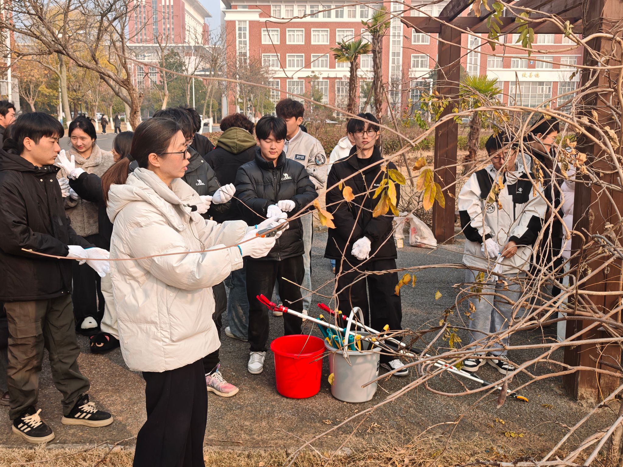 食环学院：“党建红”领航，实践绿育人